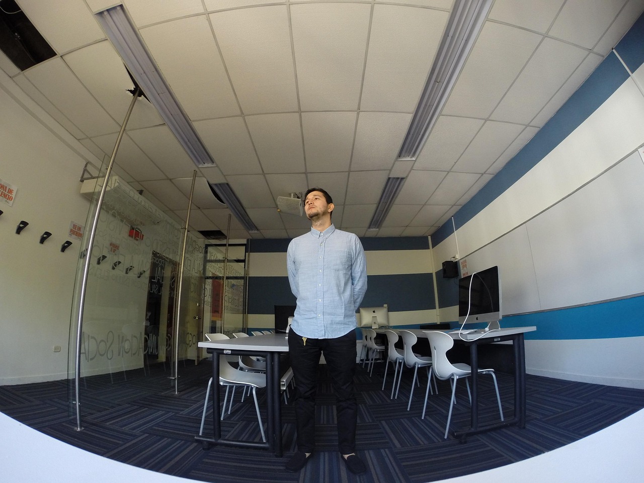 Startup